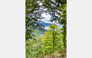 Lac de Saint Ferréol (en contrebas entre les arbres)