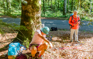 Pause repas au bord de la route de la Loubatière (D203)