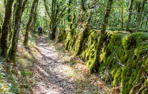 Chemin typique  vers l’église de Saint Amans le Vieux