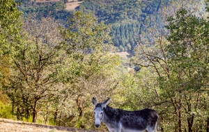 Depuis Courbières dans la direction de Falgayrolles