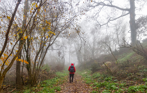 Toujours dans le brouillard après Pitrac