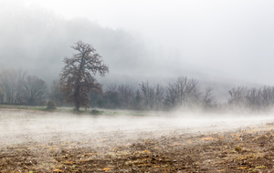 Après le Moulin de Lesquère, le brouillard se dissipe progressivement