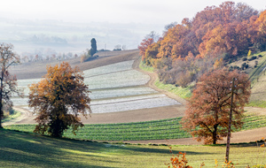 Vallon du ruisseau des Balines et vallée du Gers en arrière plan