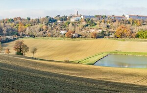 Etang des Balines Et Lectoure