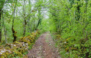 Sur la partie commune à trois GR 36, 46, 65 (fraction du chemin de St Jacques de Compostelle dans le Causse de Limogne).