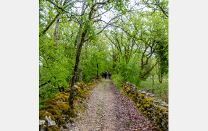 Sur la partie commune à trois GR 36, 46, 65 (fraction du chemin de St Jacques de Compostelle dans le Causse de Limogne).