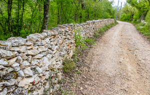 Mur de pierres sèches sur la partie commune à trois GR 36, 46, 65 