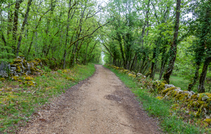 Sur le GR de Pays de Midi Quercy avant La Verrière