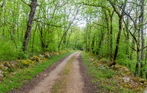 Sur le GR de Pays de Midi Quercy avant La Verrière