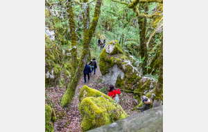 Descente dans les canyons