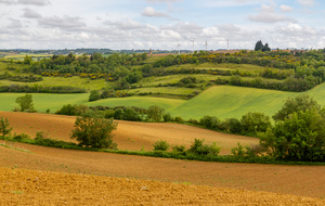  La plaine du Lauragais et le parc éolien d'Avignonet vus des Combes