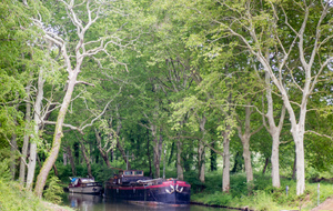 Canal du Midi