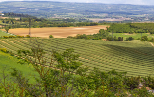 Ondulations et la montagne Noire en arrière plan vues de Montferrand