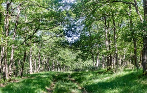 Du côté de Bourthouloume