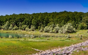 Lac de Montbel: vu du 1er barrage 