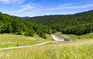 Lac de Montbel:   centrale électrique aval vue du barrage