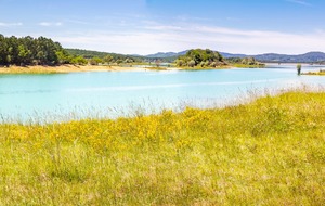 Lac de Montbel: rive Est après Montbel d'en Bas, vue sur la rive Sud