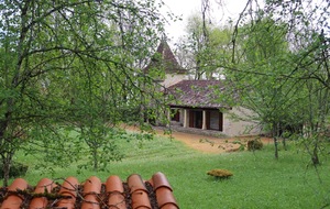68021c2834118_IMG5435.jpg