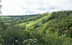 68028310539ea_Espinas00004.jpg