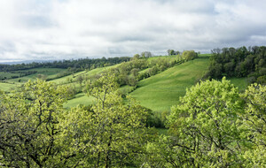 68028312b4513_Espinas00006.jpg
