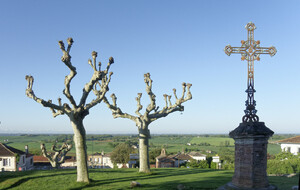 681330d0c3e39_MontjoireVacquiers00005.jpg