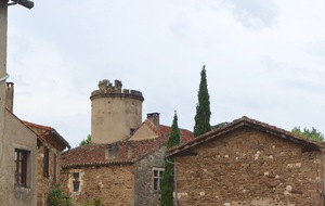 686c1fa126ac6_IMG6253.jpg