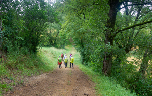 Chemin entre Cabanac et Bellecoste