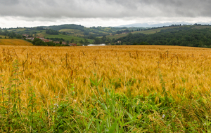 Vue sur le lac depuis Bellecoste