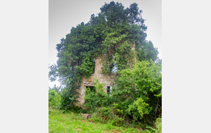 Ruines du chateau de Gèlis