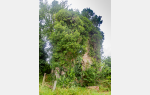 Ruines du chateau de Gèlis
