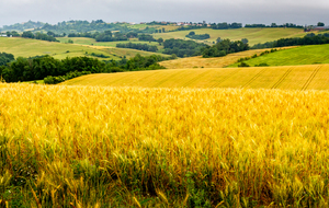 Du côté de Douilh le haut