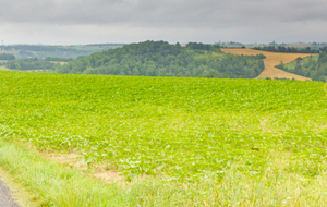 En route  vers Bourgailles, les coteaux au nord de Cala-Bayle