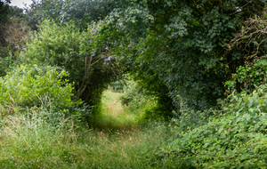 En quittant la D614 après  Mestrepey 