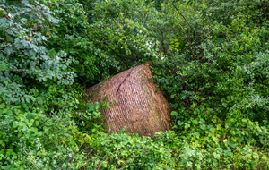 Un rouleau de paille qui a fini sa descente dans la haie (la Bouscare)