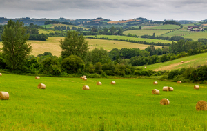 La Bouscare  et les côteaux