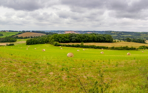En quittant La Bouscare 