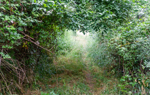 Trouée dans le chemin avant  Montcagnou 