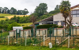 Chenil au Gite de Lascanals