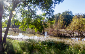 Etang avant Rayssac