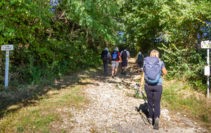 Chemin de l'ancienne voie romaine