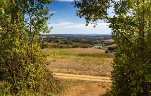 Chemin de l'ancienne voie romaine: vue dans la direction Nord-Est vers Lautrec