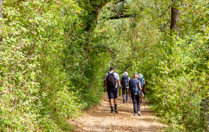 Retour sur Puylaurens par la Gravière