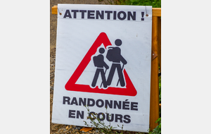Ils arrivent! Sur la D175!