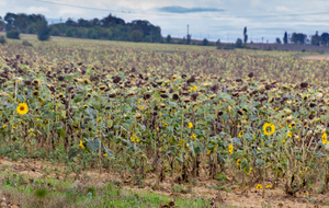 Vue en direction de l'Ouest vers le Liriou