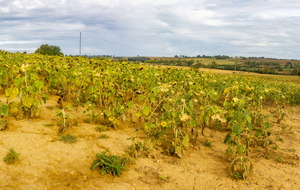 Vue en direction du nord-ouest avant Barré