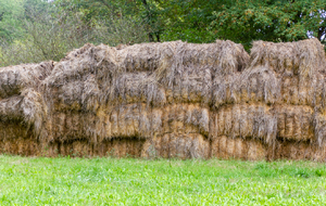 Près de  la fontaine du Bourreau