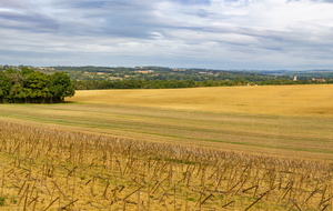 Vue en direction du nord-est à partir du Petit Malehaut