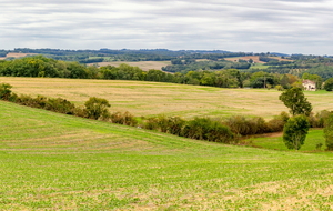 Vue en direction de l'ouest  sur la D12