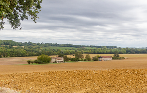 Direction nord-ouest vers Mauvezin