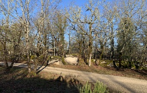 Dolmen de Peyrelevade